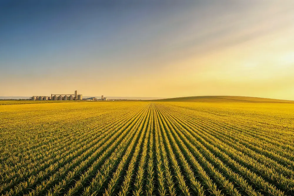 Vision: To become a respected and high-value global grain system partner.