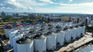 Automated Bulk Material Handling & Green Storage System | Sinograin Hainan FTP Dual-Complex Grain Hub